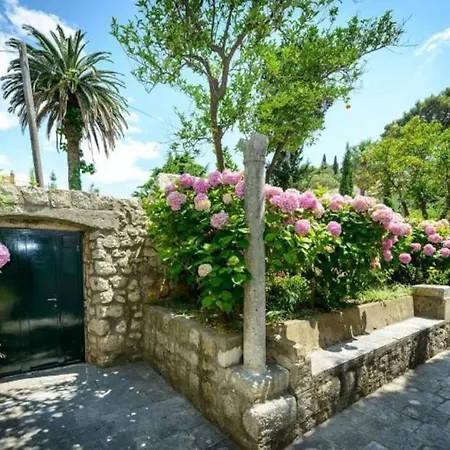 The Soldo's Apartament